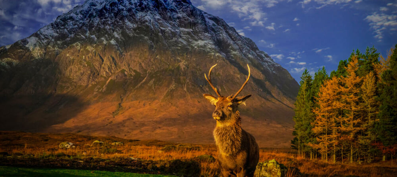 Buachaille Etive Mòr Buachaille Etive Mòr